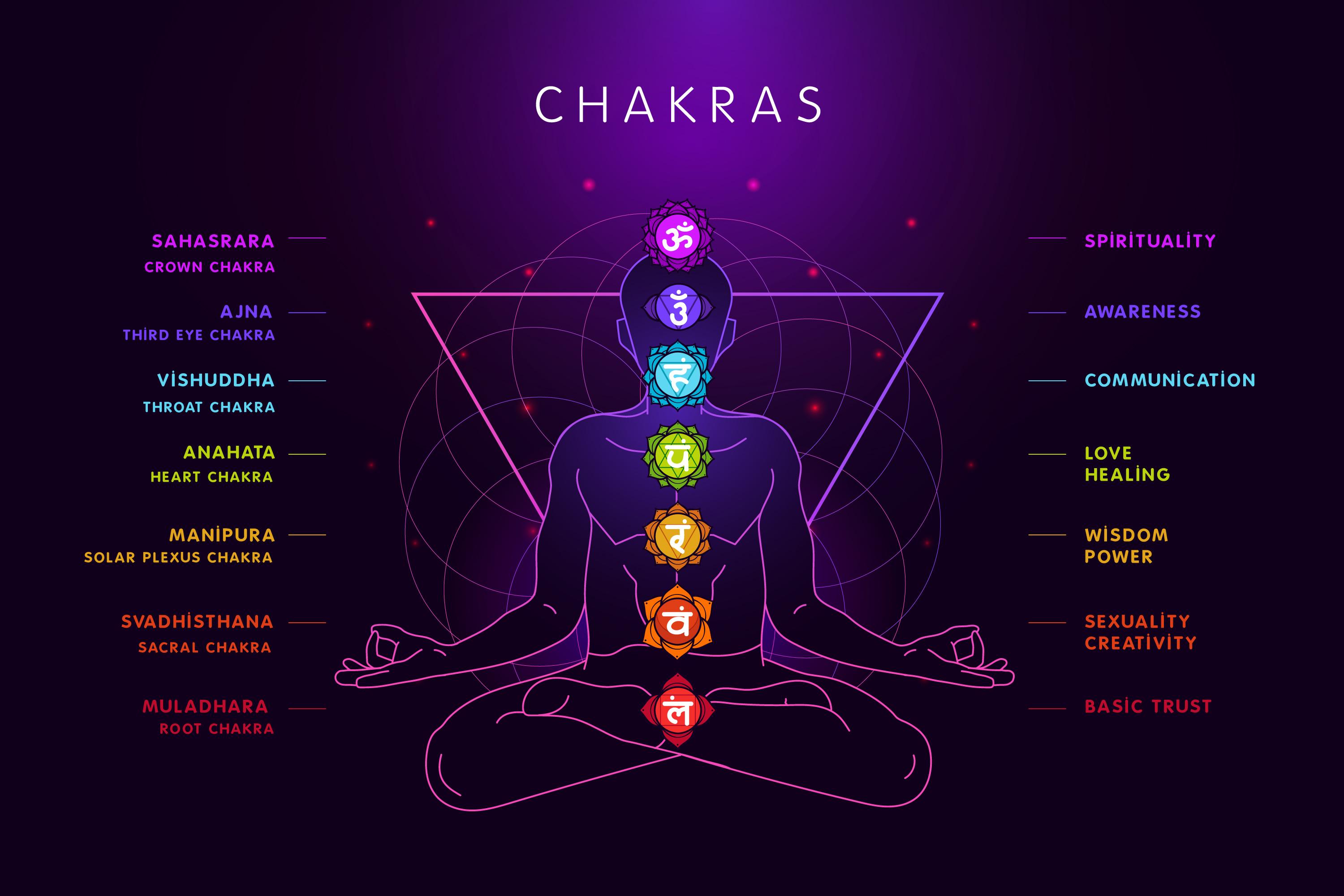 Chakras & Glands