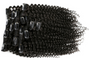 Curly Clip-Ins