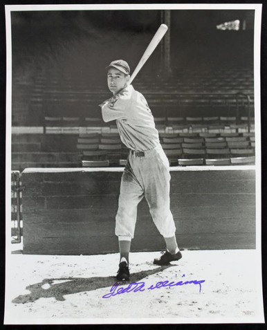 Lot Detail - Ted Williams Signed 16 x 20 Color Photo - PSA