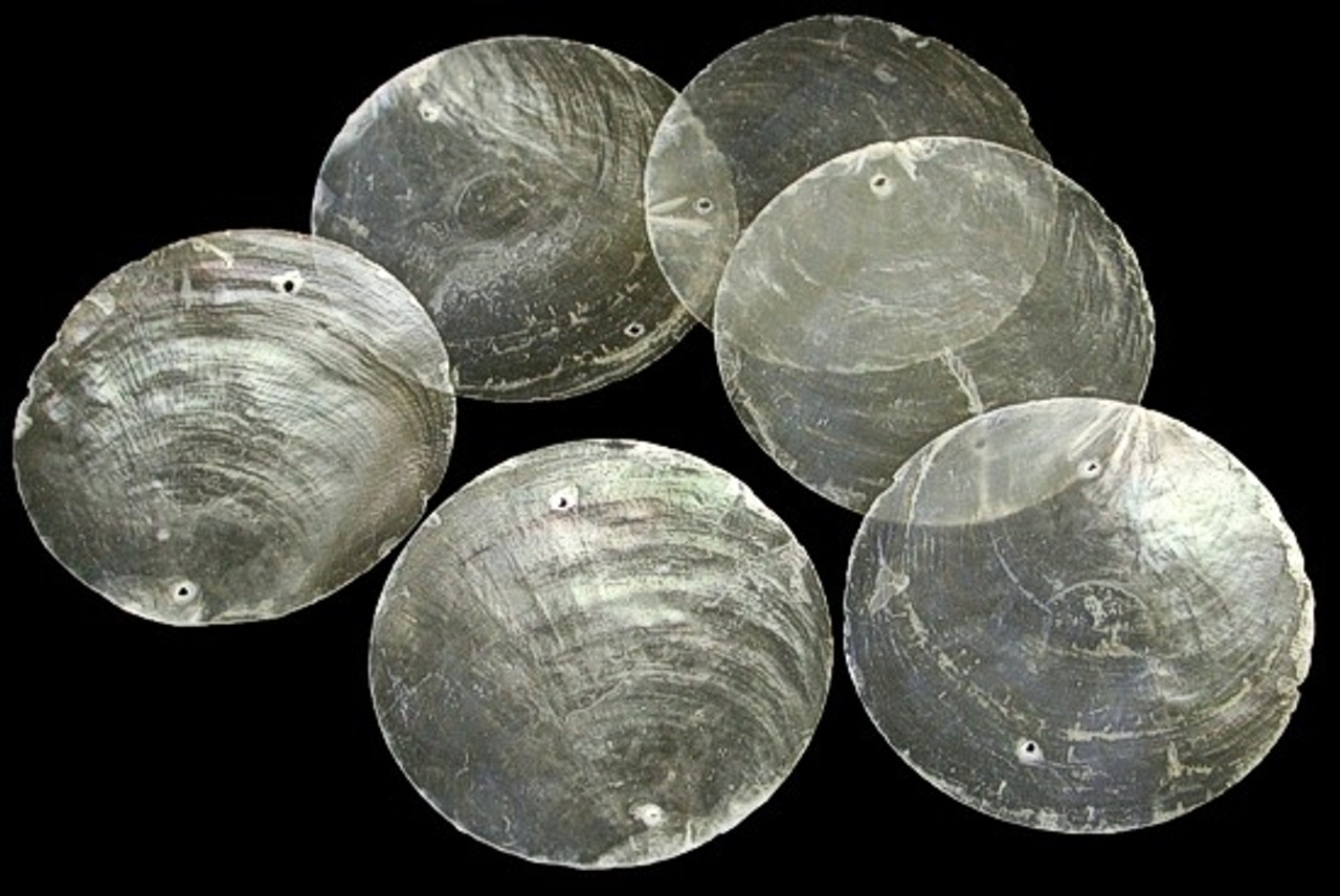 Natural Round Capiz Shells Diameter2'' with Holes for Jewelry