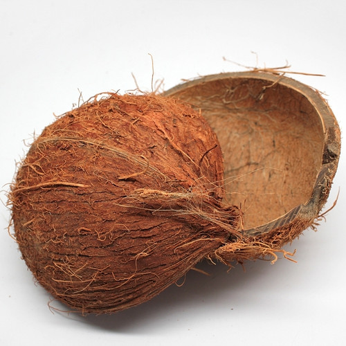  Natural Coconut 1/2 Shell (Case pack 2) Free Shipping