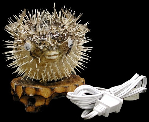 Handmade Porcupine Fish Lamp 6" with Wood Base 