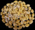 1/2 Gallon Money Cowrie Shells 3/4-1" Free Shipping Wholesale Shells