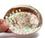 Polished Midas Abalone Seashell (4"-5") Haliotis Midae