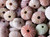 Pink Sea Urchin Seashells Shells Beach Wedding Craft 100 Pack