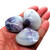 Polished Purple Clam Pair Sea Shells Set of 3