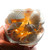 Assorted White Shells with Glass Bowl, LED Fairy Lights
