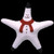White Snowman Starfish Seashell Christmas 7-8"