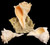 Florida Gulf Lightning Whelk Shells all sizes