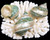 Polished Banded Jade Turbo Seashell 3 1/2" - 4" Priced each Free Shipping