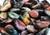 Polished Mussel Pairs Dyed (Case Pack 20)