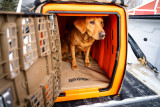 KENNEL PAD TAN INTERMEDIATE