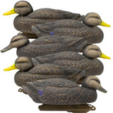 Legacy Black Duck Foam Filled 6pk