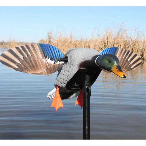 MOJO OUTDOORS MOJO Elite Series Mini Mallard Drake Decoy MOJO-HW2470-3P