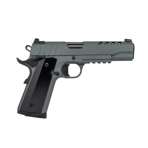 SDS Tisas 1911 Night Stalker .45 ACP 5" 8rd, Platinum Grey - 10100512 SDS-1911NGTSTALKER