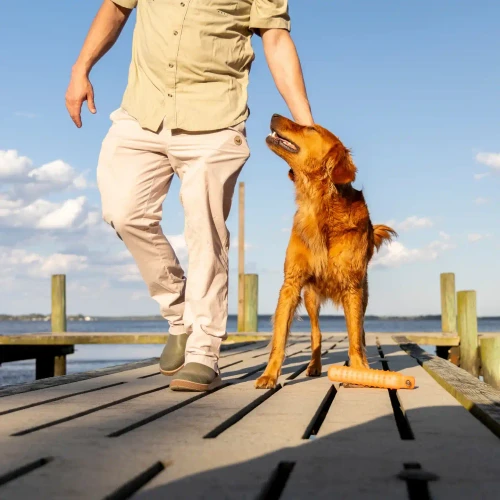 DIXIE DECOY 3-SEASON DOCK PANT 3-SEASON DOCK PANT