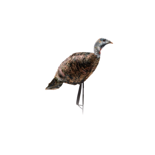 MONTANA DECOY Montana Decoy Miss Purr-fect XD/XD3 Turkey Decoy (Model 0084) MONDEC-0084