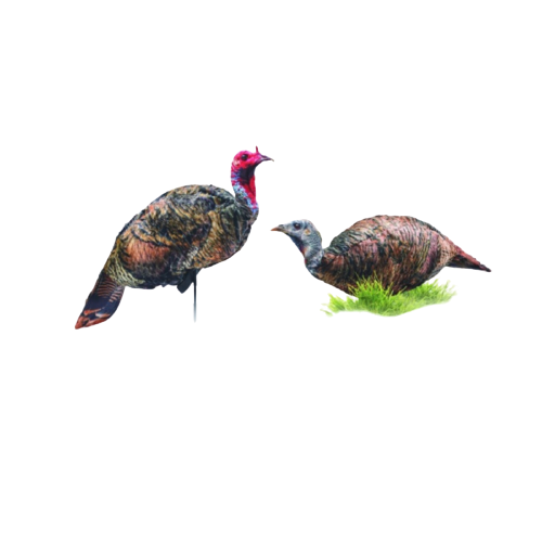 MONTANA DECOY Montana Decoy Purr-fect Pair XD Combo Jake & Hen Decoys (Model 0086) 86