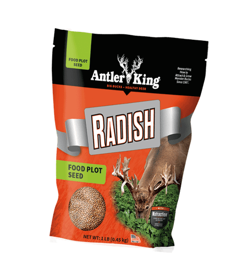 ANTLER KING Antler King Radish Food Plot Seed - AKRAD1 - 1lb AKING-AKRAD1
