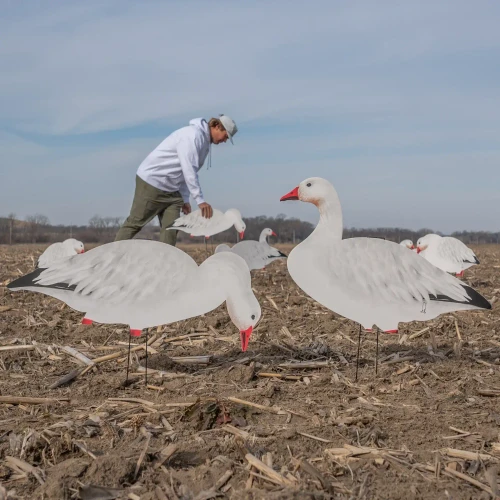 DIVE BOMB INDUSTRIES Dive Bomb Industries V2 Snow Goose Silhouette Decoys DBOMB-V2SGS