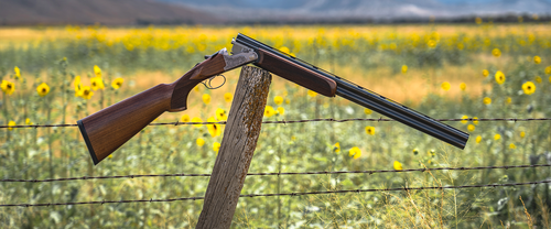 Rizzini Rizzini BR110 Light Luxe 28ga Shotgun 2rd 28" Barrel Blued/Gray/Walnut - 1102-2828 RIZZ-1102-2828