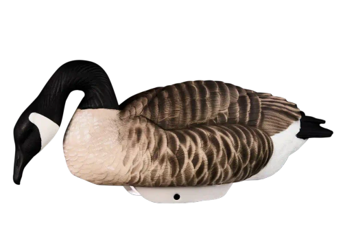 HEYDAY Heyday HydroFoam Canada Goose Decoy 4 Pack - LTD600 HEYDAY-LTD600