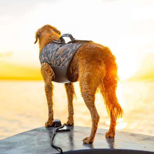 DIXIE DECOY DOG VEST DOG VEST