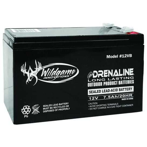 12V RECHARGEABLE BATTERY GSM-WGIBT0011