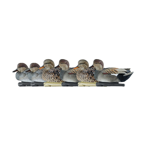 AVIAN-X Top Flight Gadwalls