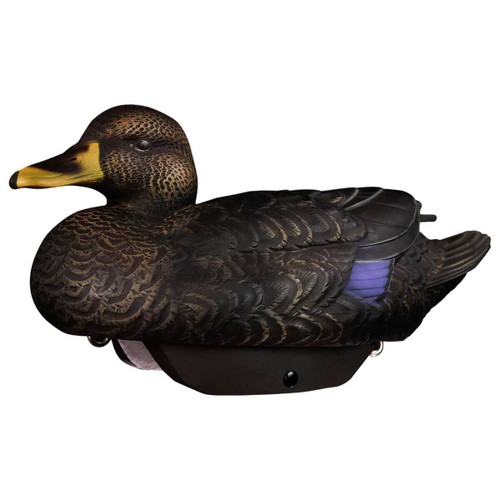 HeyDay Hydrofoam Black Duck 6pk