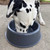 RUFF LAND KENNELS RUFF LAND DOG BOWL DOG BOWL
