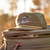DUCK CAMP MALLARD HAT MALLARD HAT