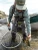 DUCK CAMP DUCK CAMP AUSTIN TRUCKER HAT DK-CAMP-ATH3600-324