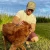 DIXIE DECOY LOW COUNTRY 5-PANEL HAT DIXDEC-LOW5PANEL
