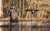 LUCKY DUCK Lucky Duck Lucky Pair II Mallard Spinning Wing Decoy LUCKY-21-10617-4