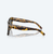 COSTA NUSA TORTOISE W/GRAY GRADIANT 580G COSTA-06S2016
