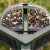 TACTACAM TACTACAM FEATHERSNAP SCOUT VERSION 1 TACAM-FSBF001