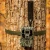 BROWNING BROWNING PRO SCOUT MAX HD CELL CAMERA 24MP BROWN-BTC-PSMHD