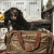 WEEKENDER BAG