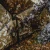 BARRONETT BLINDS BARRONETT FIELD SHIELD CRATER THRIVE PANEL BLIND BARB-FS100CT