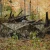 BARRONETT BLINDS BARRONETT FIELD SHIELD CRATER THRIVE PANEL BLIND BARB-FS100CT