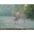 Antler King Grainiac XL Deer Attractant Block - 33lb