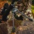 SPARTAN PRECISION EQUIPMENT JAVELIN LITE BIPOD SPARTN-SP01-053-R-BLK