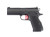 DAN WESSON DWX COMPACT 9MM SEMI-AUTO PISTOL 2-15RD MAGS