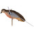 AVIAN-X AVIAN-X POWERFLIGHT DOVE AVX-AVXDP102