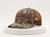 Winter Timber Outdoors Logo Leather Patch Realtree Max 7 Trucker Hat
