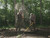 ANTLER KING Antler King No Sweat No Till Food Plot Mix - AKNS - 4.5lb AKING-AKNS