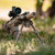 MAGPUL MAGPUL MAG1174-FDE MOE BIPOD MAGPUL-MAG1174-FDE