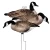 HIGDON Higdon FLATS Magnum Canada Goose Motion Silhouette Decoy 12-Pack HIGDON-73221