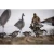 HIGDON Higdon FLATS Magnum Canada Goose Motion Silhouette Decoy 12-Pack HIGDON-73221